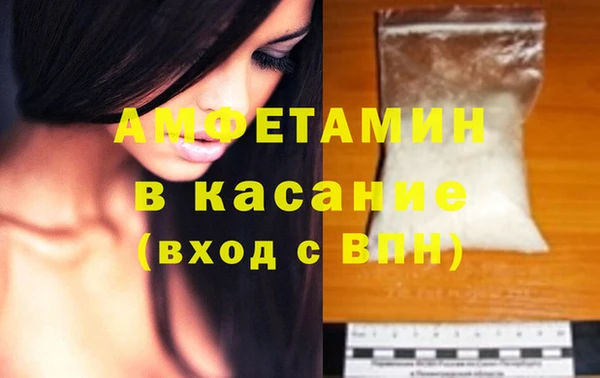 прущие грибы Аркадак