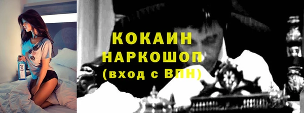 прущие грибы Аркадак