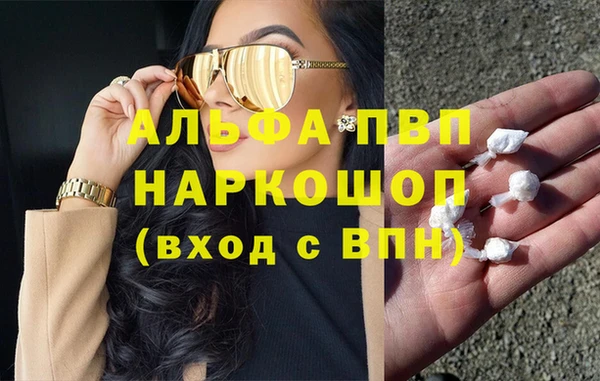 прущие грибы Аркадак