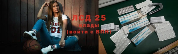 прущие грибы Аркадак