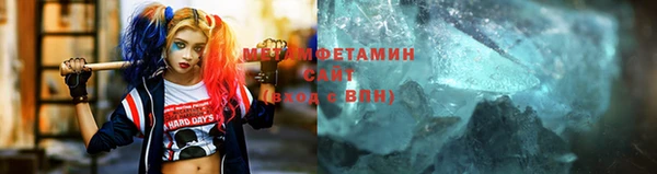 прущие грибы Аркадак