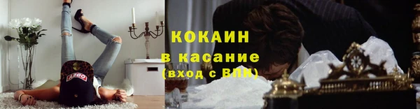 прущие грибы Арсеньев