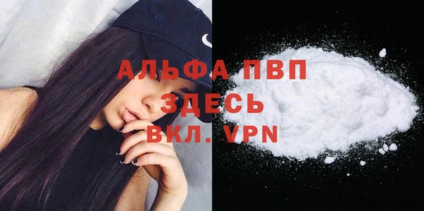 прущие грибы Арсеньев