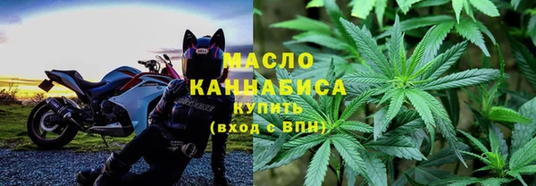 прущие грибы Аркадак