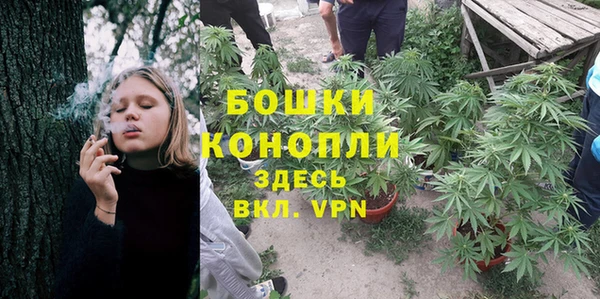 прущие грибы Арсеньев