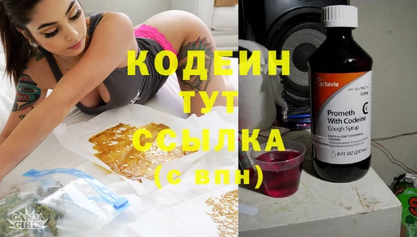 прущие грибы Аркадак